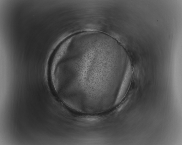 X0000093260292200710101504