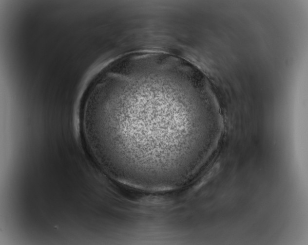 X0000093260294200710101504