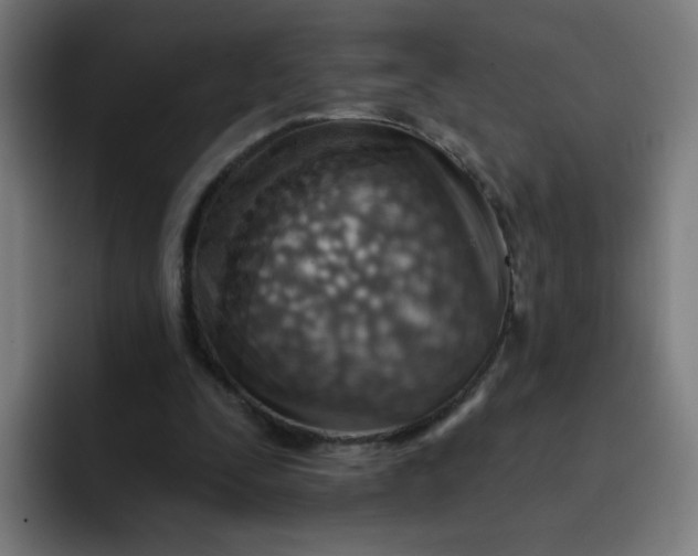 X0000093260295200710101504