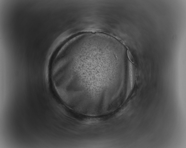 X0000093260296200710101504