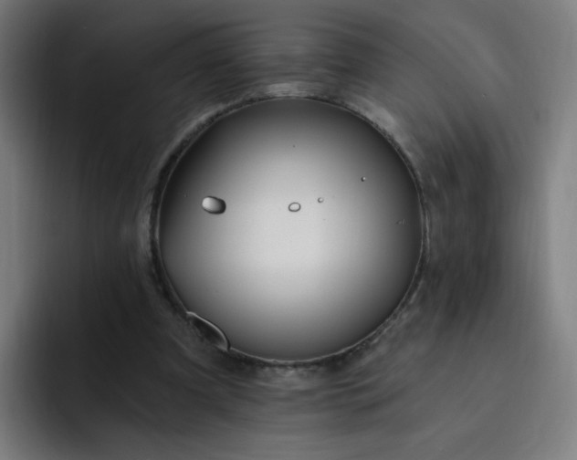 X0000093260297200710101504