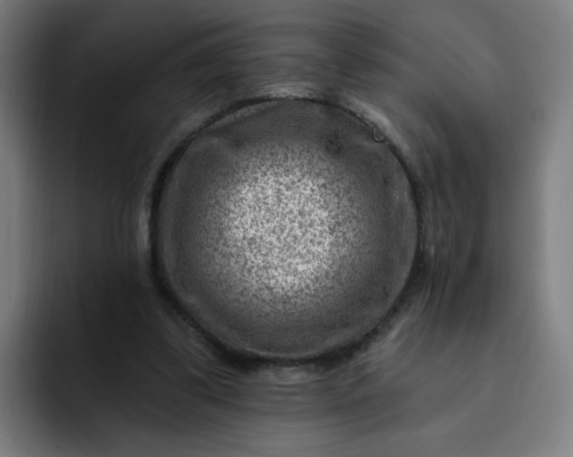 X0000093260299200710101504