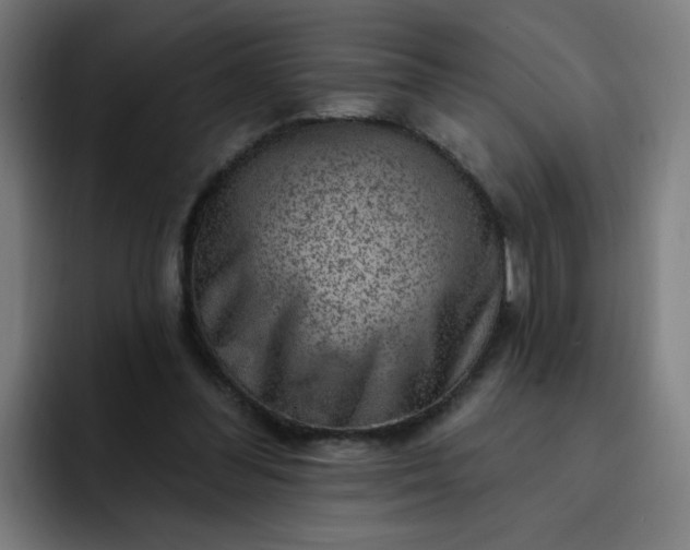 X0000093260300200710101504