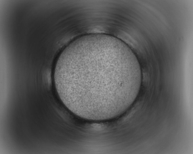 X0000093260302200710101504