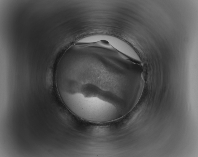 X0000093260303200710101504