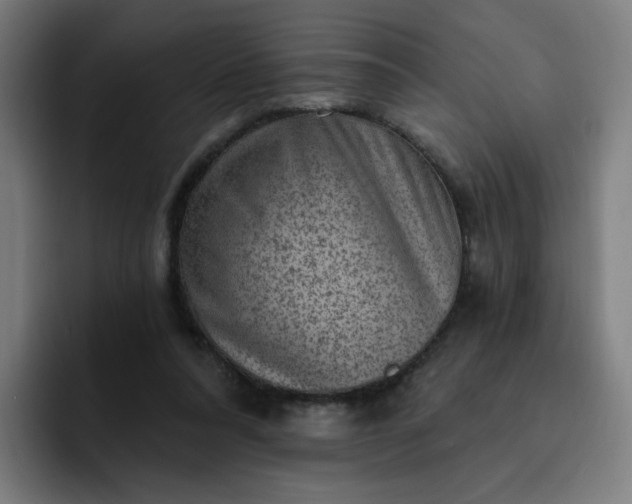 X0000093260304200710101504