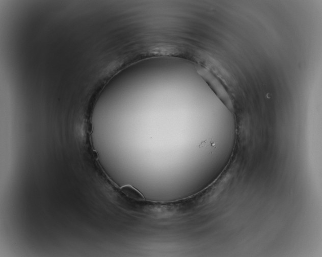 X0000093260305200710101504