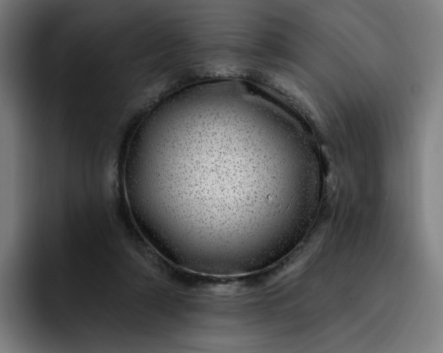 X0000093260306200710101504