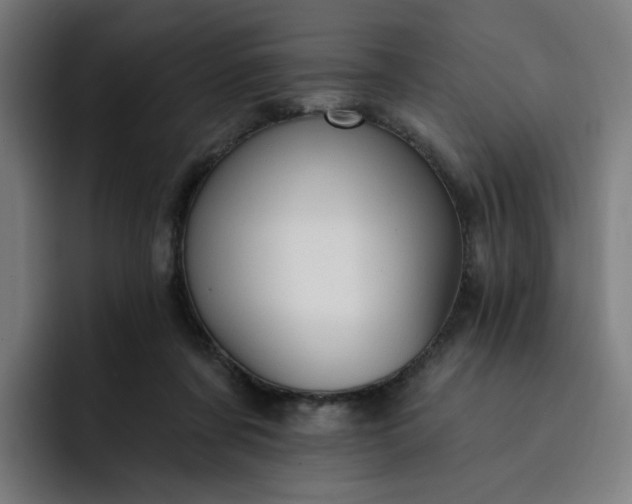 X0000093260311200710101503