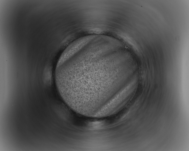 X0000093260312200710101503