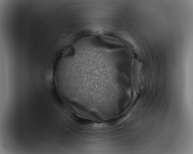 X0000093260314200710101503