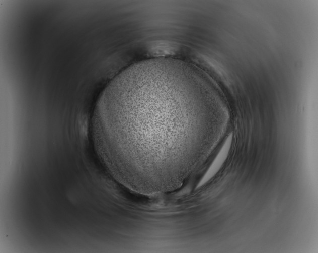 X0000093260315200710101503