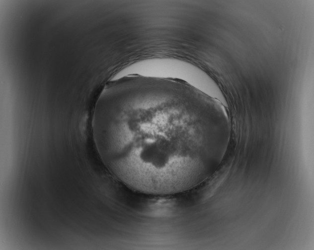 X0000093260319200710101503