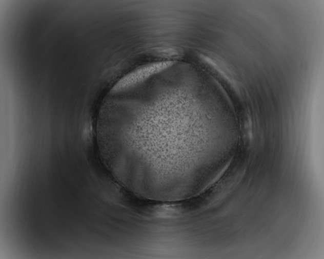 X0000093260320200710101503