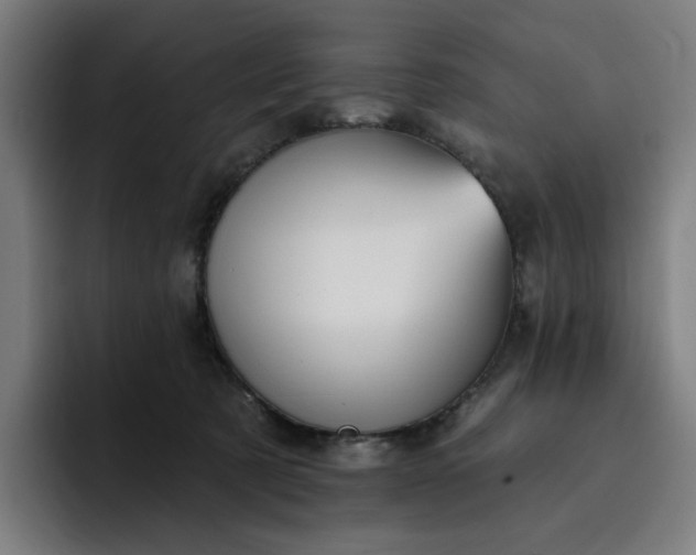 X0000093260321200710101503