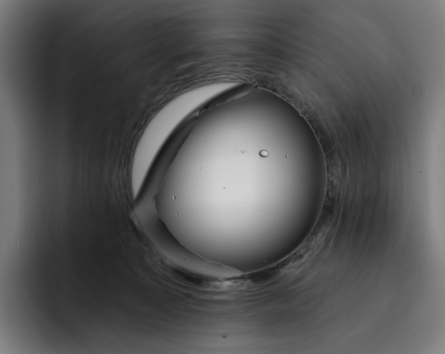 X0000093260323200710101503