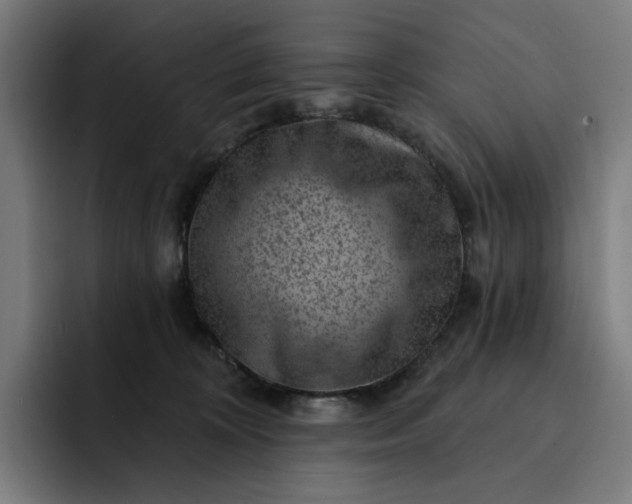 X0000093260324200710101503