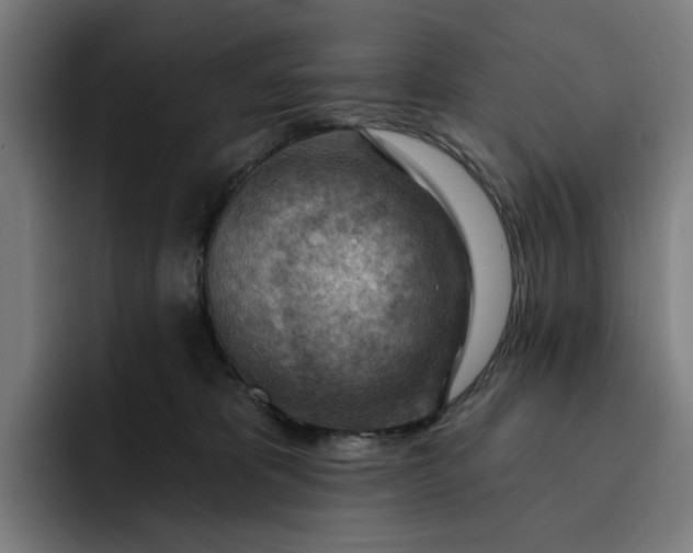 X0000093260325200710101503