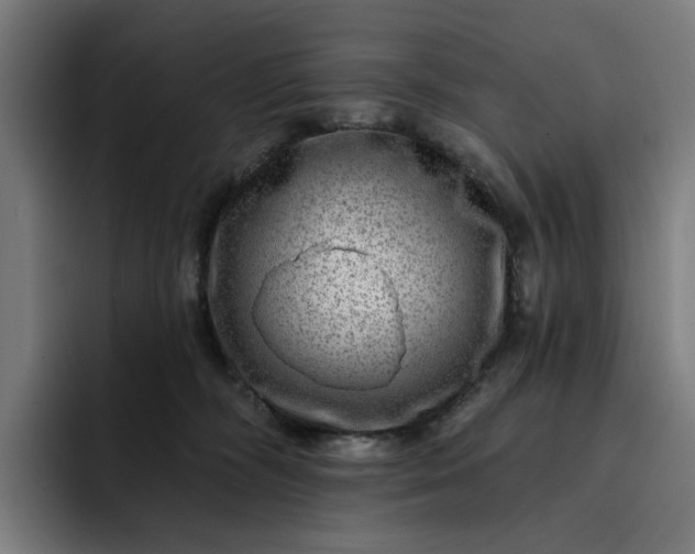 X0000093260326200710101503