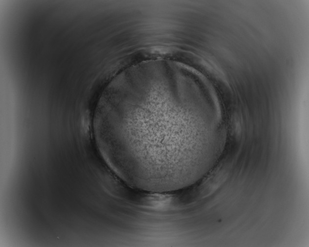 X0000093260328200710101503