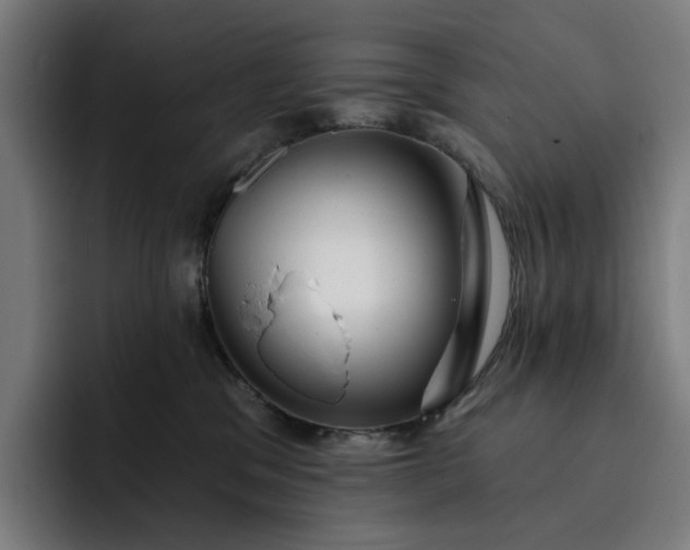 X0000093260329200710101503