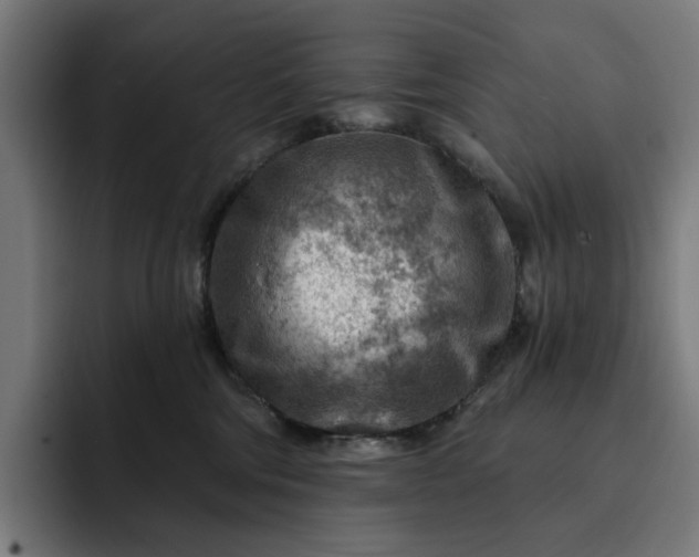 X0000093260330200710101503