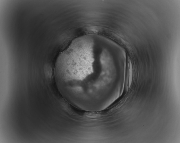 X0000093260331200710101503