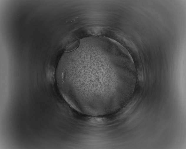 X0000093260332200710101503