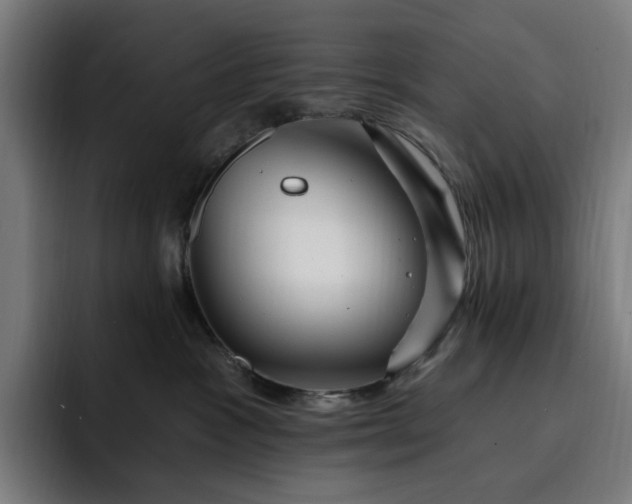 X0000093260333200710101503