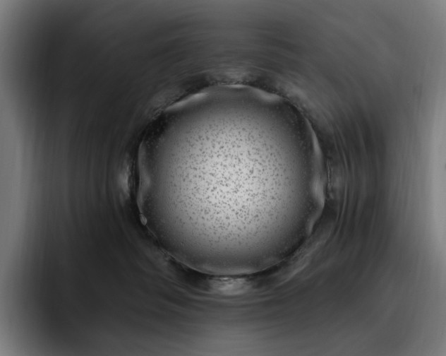 X0000093260334200710101503