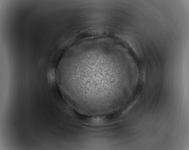 X0000093260335200710101503