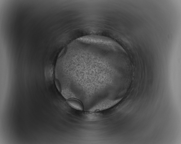 X0000093260336200710101503