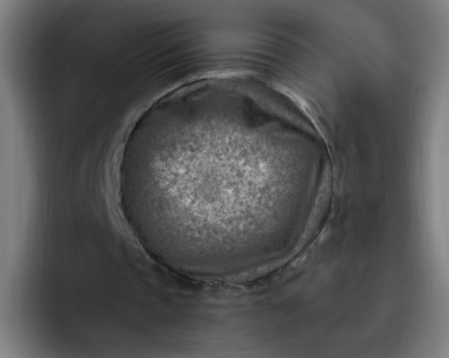 X0000093260337200710101503