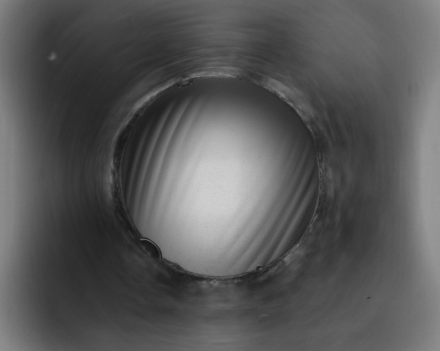 X0000093260338200710101503