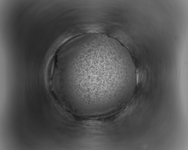 X0000093260339200710101503