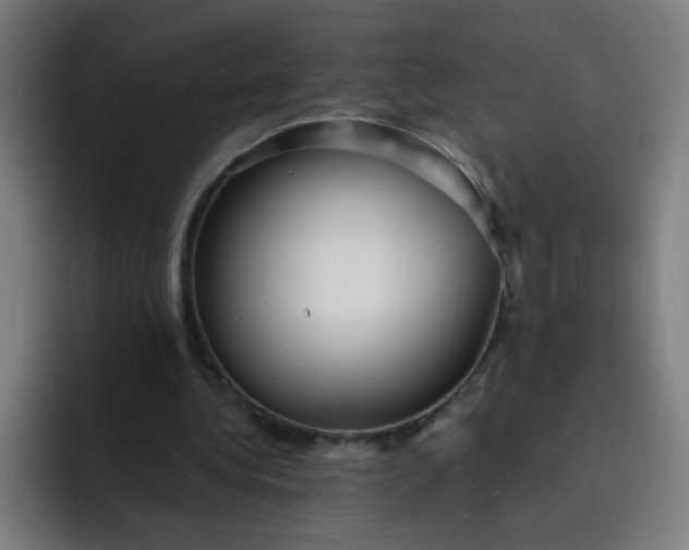 X0000093260340200710101503