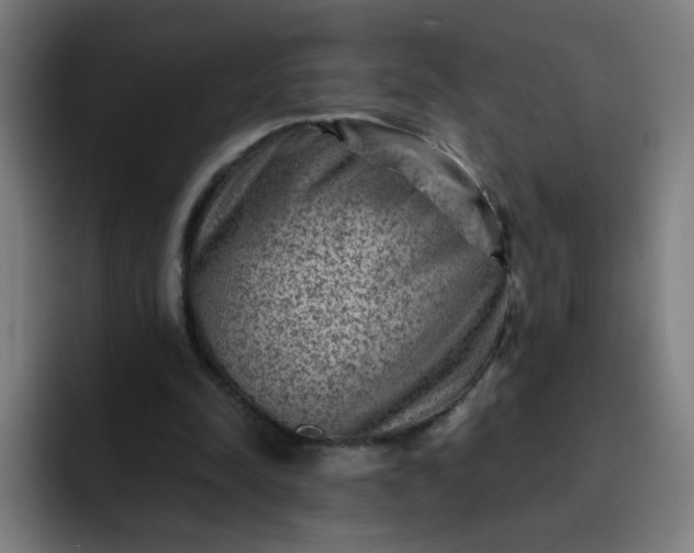 X0000093260342200710101503