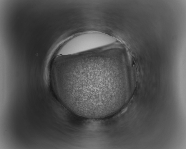 X0000093260343200710101503