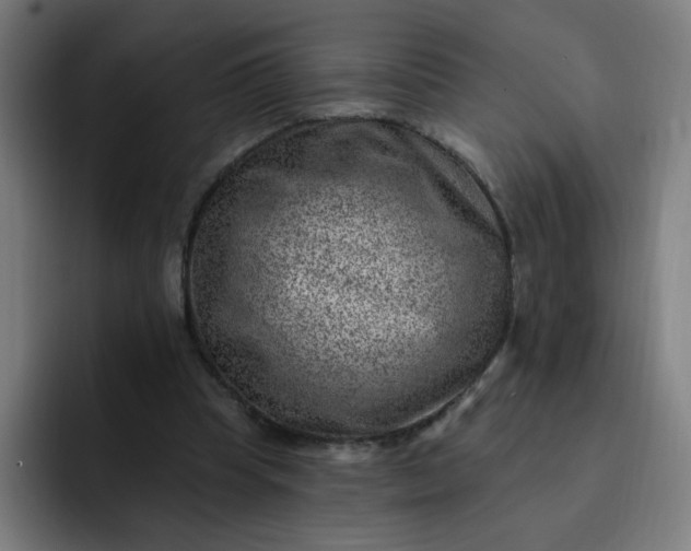 X0000093260345200710101503