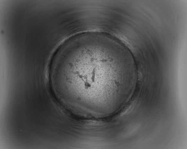 X0000093260347200710101503