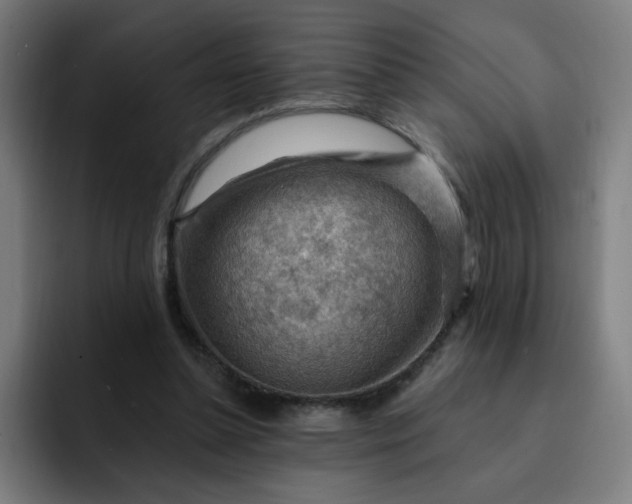 X0000093260348200710101503