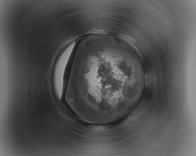 X0000093260349200710101503