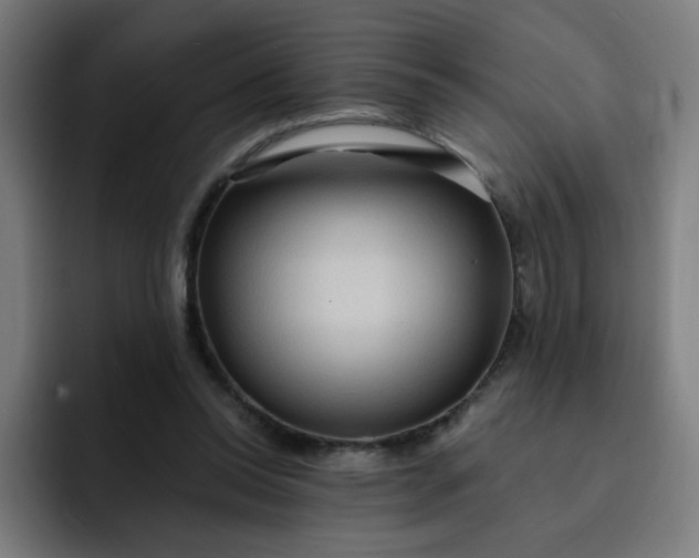 X0000093260350200710101503