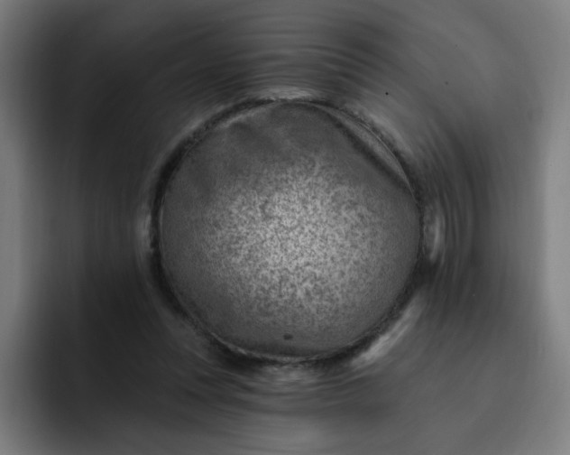 X0000093260351200710101503