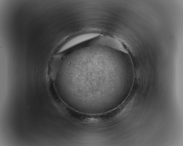 X0000093260352200710101503