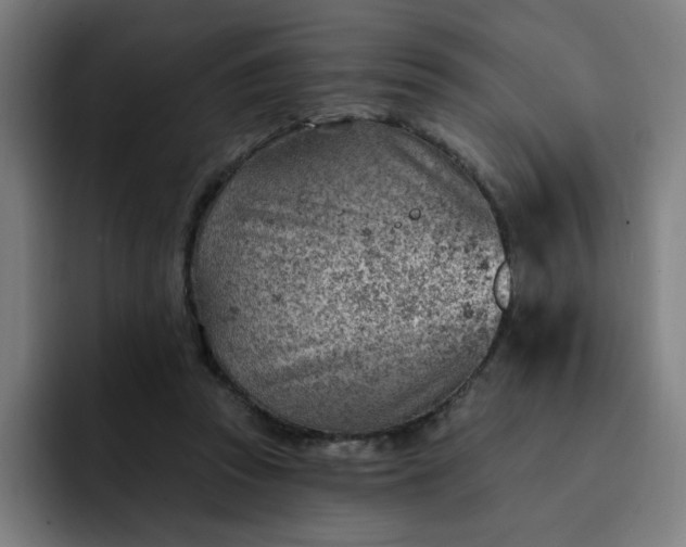 X0000093260353200710101503