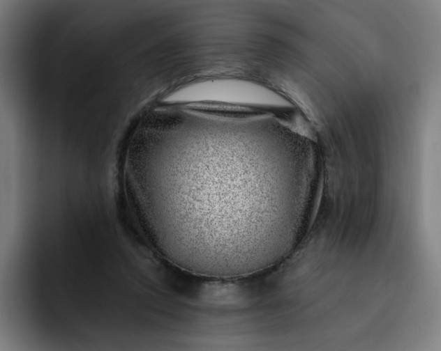 X0000093260354200710101503