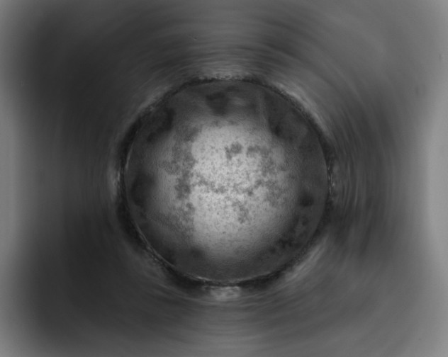 X0000093260355200710101503