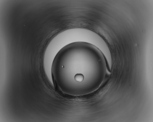 X0000093260356200710101503