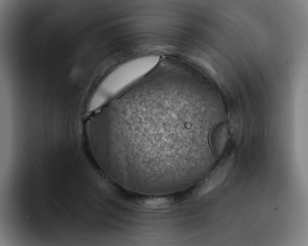 X0000093260357200710101503